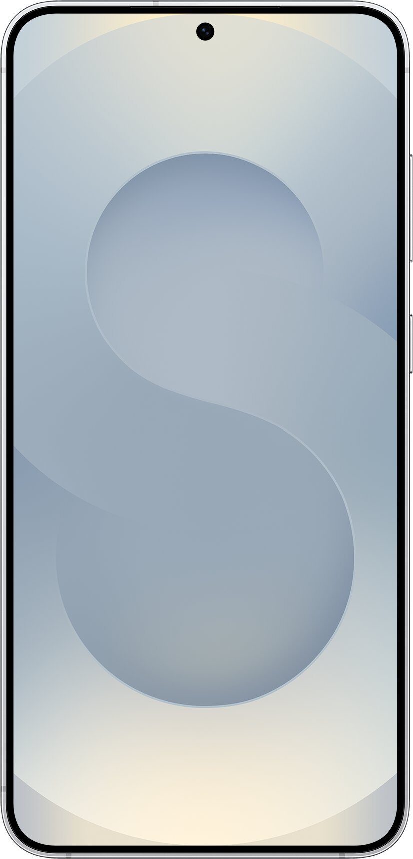 14504952_13_f Smartfon Samsung Galaxy S25+ 5G 12/512GB Srebrny (SM-S936BZS)