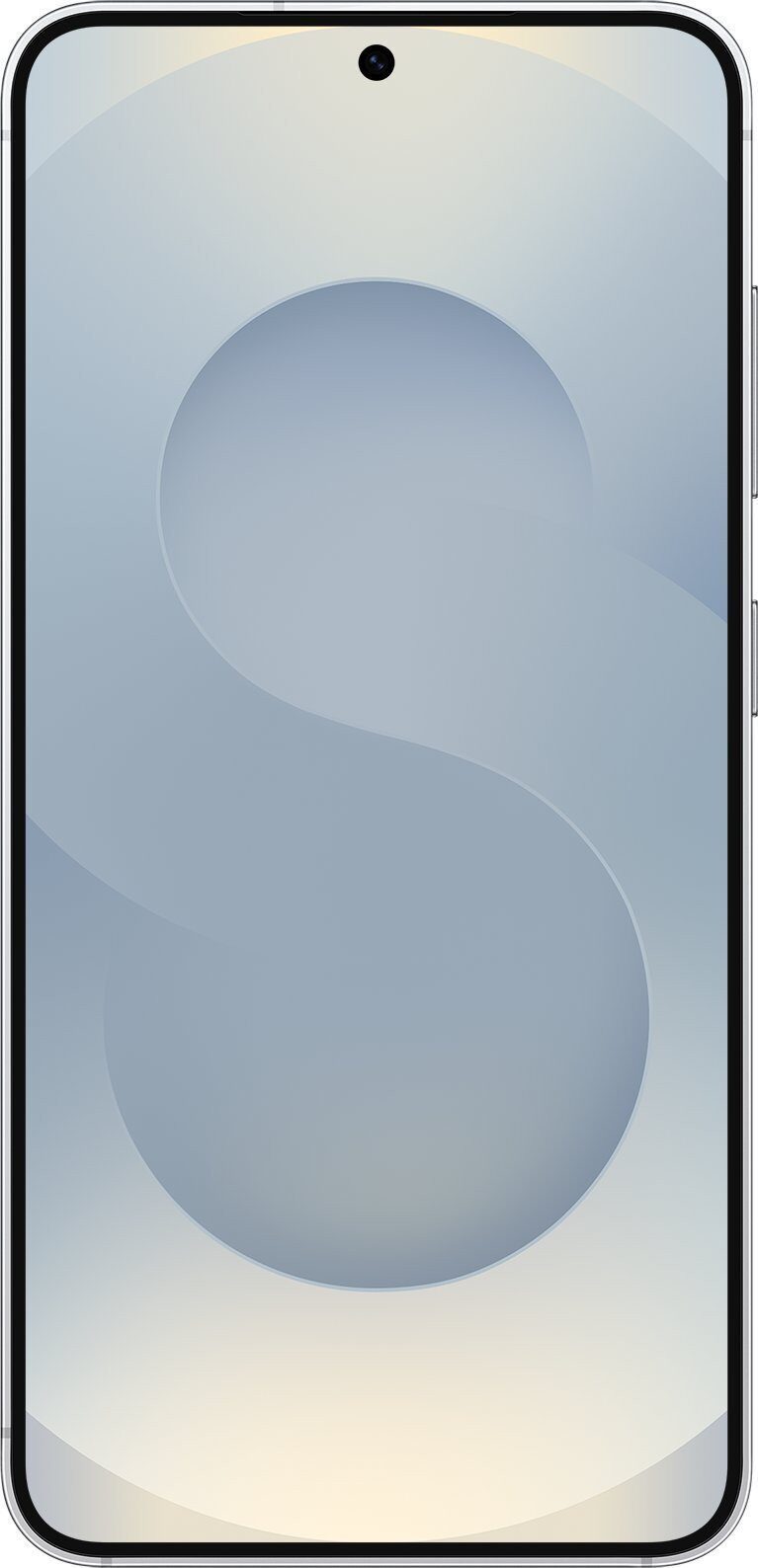 15388858_13_f Smartfon Samsung Galaxy S25 5G 12/256GB Srebrny EE (SM-S931BZSGEEE)
