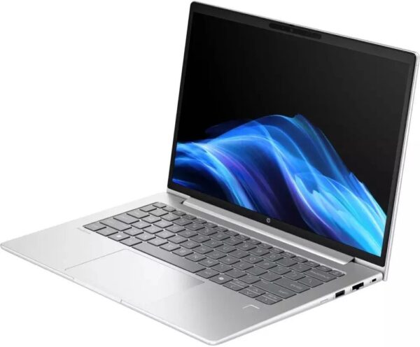 Laptop HP ProBook 4 G1ah 14 Ryzen 5 220 / 16 GB / 512 GB / W11 Pro (C51G0ET)
