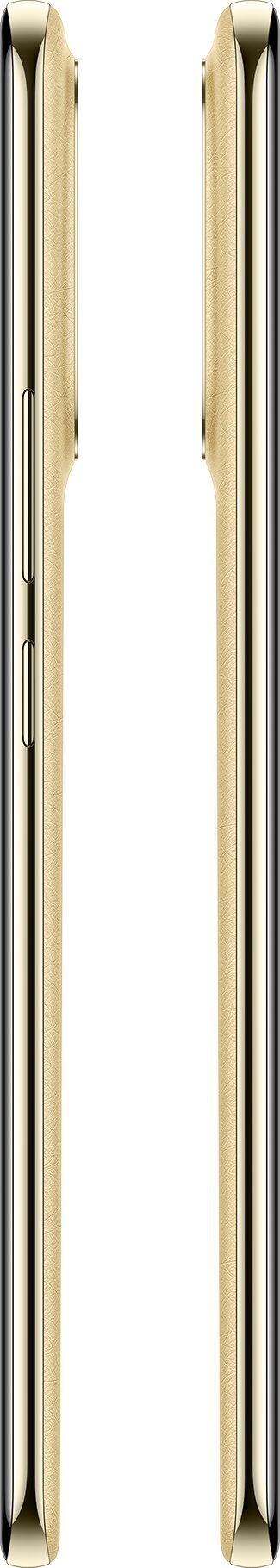 15821806_9_f Smartfon Realme 16 Pro+ 5G 12/512GB Złoty (TKORALSZA0173)