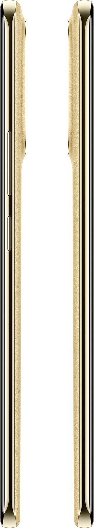 15827389_10_f Smartfon Realme 16 Pro+ 5G 8/256GB Złoty (RLME_16PRO+)