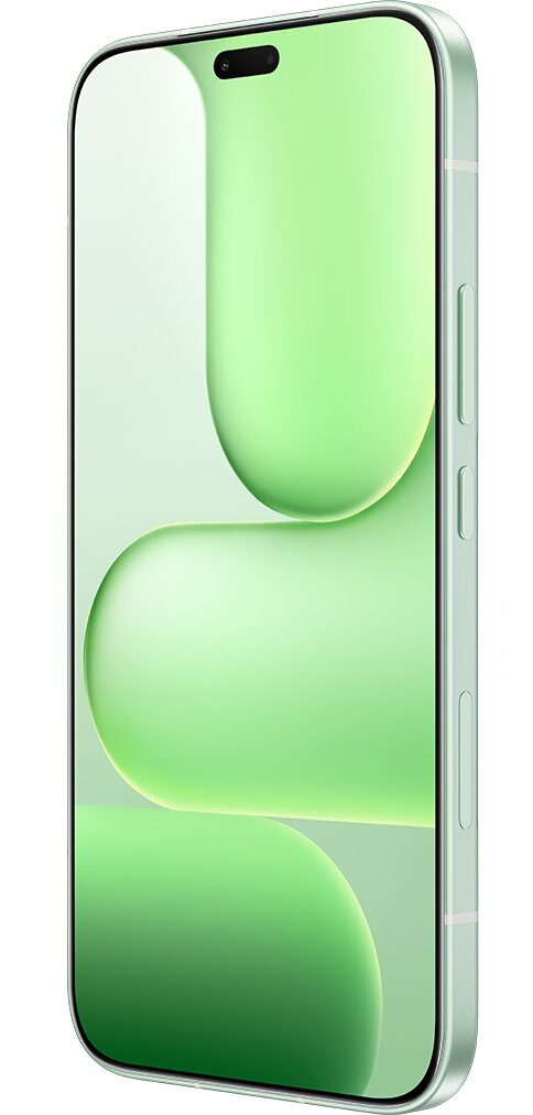 15984926_2_f Smartfon Honor HONOR 600 Lite 8/256GB Zielony