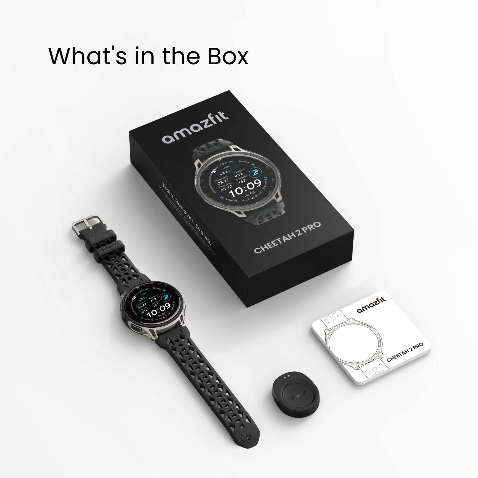 Smartwatch Amazfit Cheetah 2 Pro NFC Titanium (W2563GL1N)